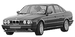 BMW E34 P299C Fault Code